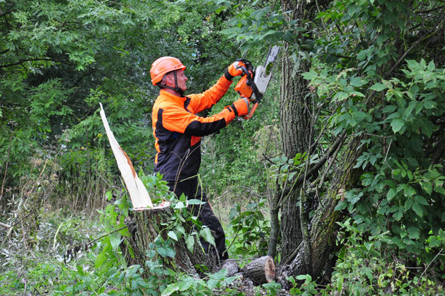 Работники Слонимского УМГ «Газпром трансгаз Беларусь» начали окультуривать пляж на озере Солдатском на Энке и реке Щаре в районе военного городка