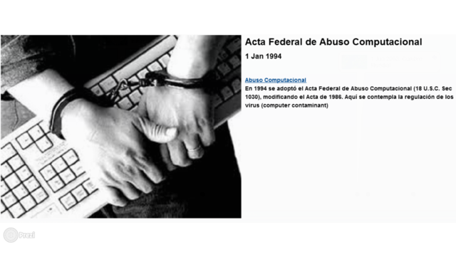 acta federal de abuso computacional