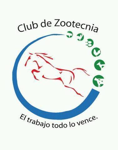 Inicié como parte de Grupos Estudiantiles