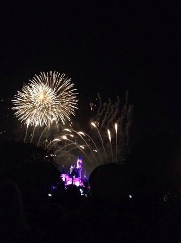 Disneyland and Universal Studio