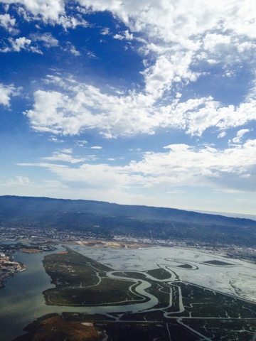 Cousins traveled around United States