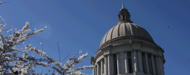 Display the politics behind the Initiative