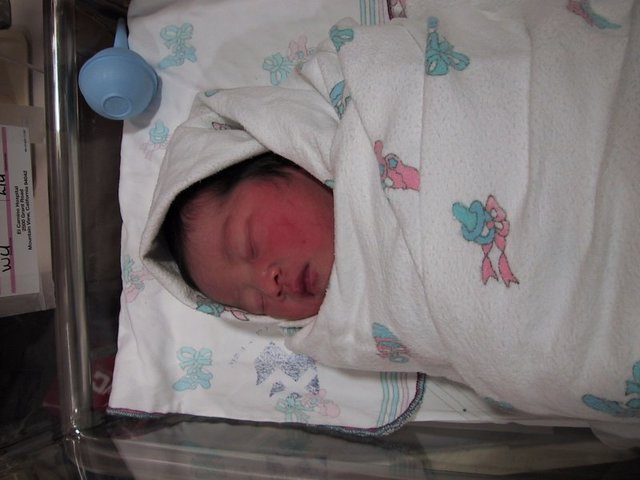 Danya Born