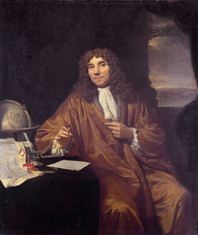 Antonie Philips van Leeuwenhoek