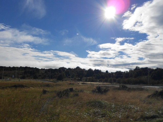 En Enero S. Angela va a Isla Dawson y de febrero a noviembre hace repetidos viajes entre Punta Arenas y la Isla Dawson