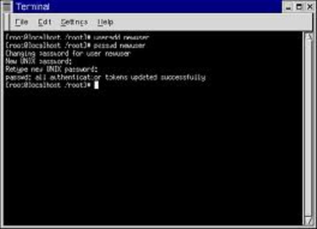 El estudiante finlandés Linus Torvalds diseña un sistema operativo llamado Linux.