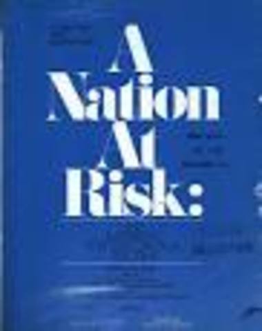 A National at Risk