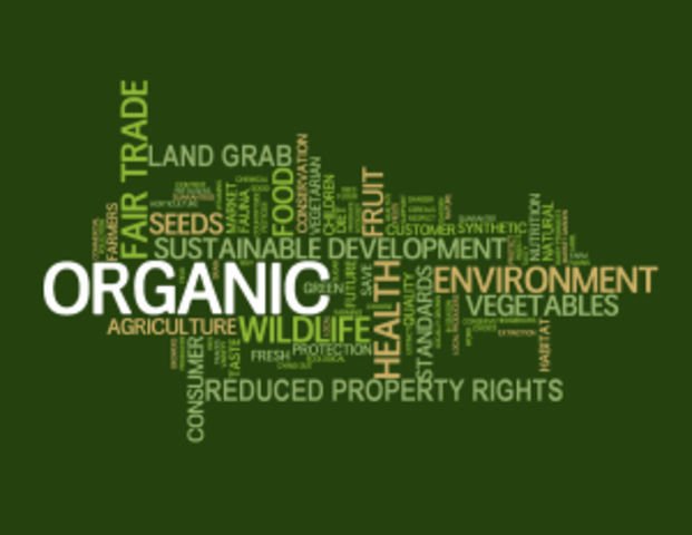 Hacia una América Sostenible