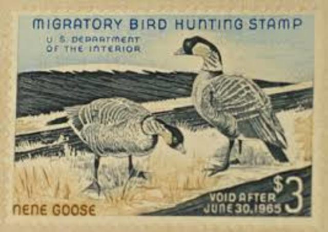 Migratory Bird Hunting Stamp Act