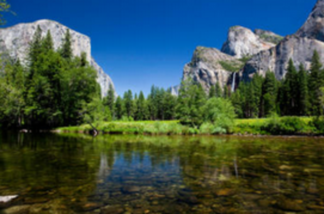 Yosemite plus Sequoia National Park