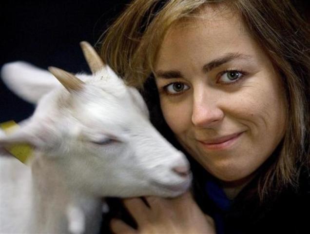 Comportamiento humano similar al animal.