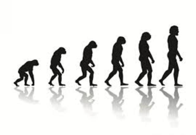 Teoría evolución Darwin