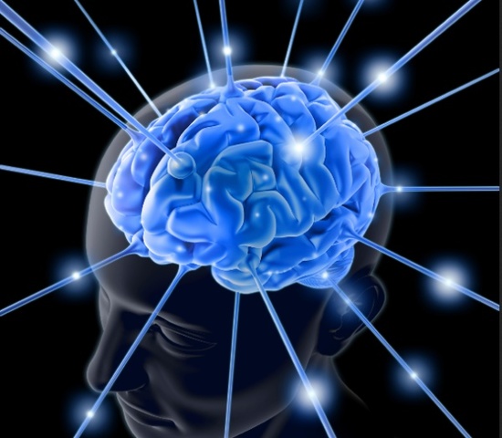 Professor of Neurology