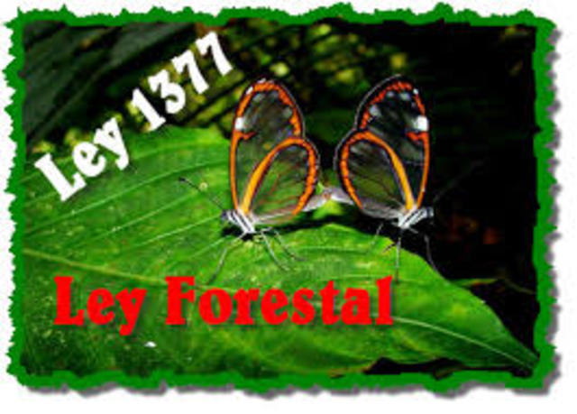 Ley Forestal