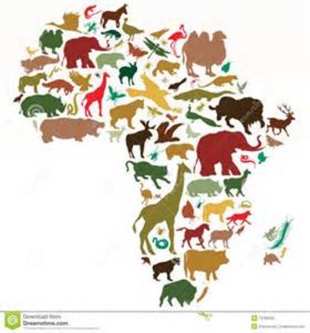 Convención para la Protección de la Flora y la Fauna Africana