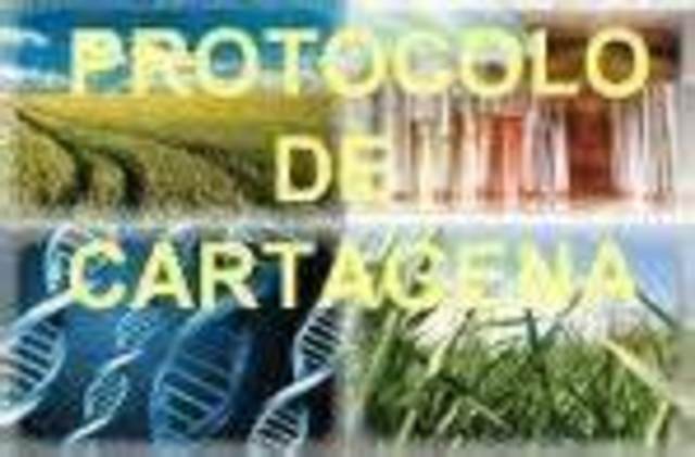 PROTOCOLO DE CARTAGENA