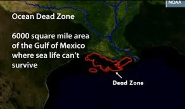 gulf of mexico dead zone