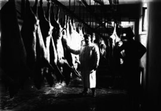 Meat inspection act