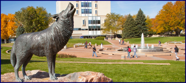 started college at CSU