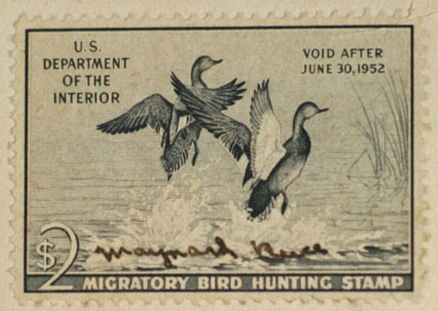 Migratory Bird Hunting Stamp Act
