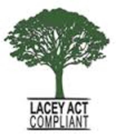 Founding of The Lacy Act