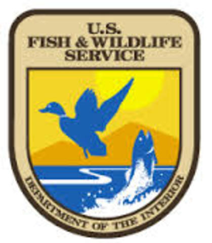 Establishment of Pelican Island