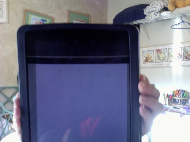 Purchased first iPad