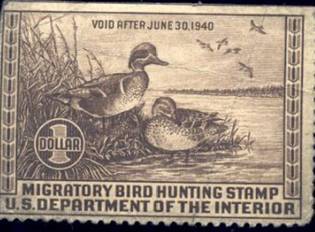 Migratory Bird Hunting Stamp Act