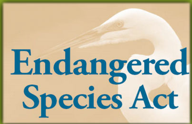 Endangerd Species Act