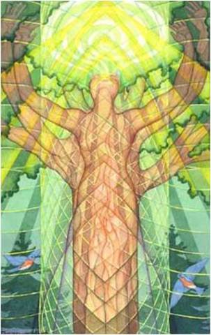 Conexión humana con la naturaleza