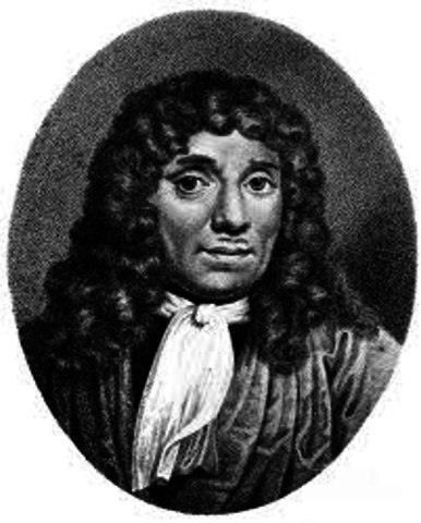 Anton Van Leeuwenhoek