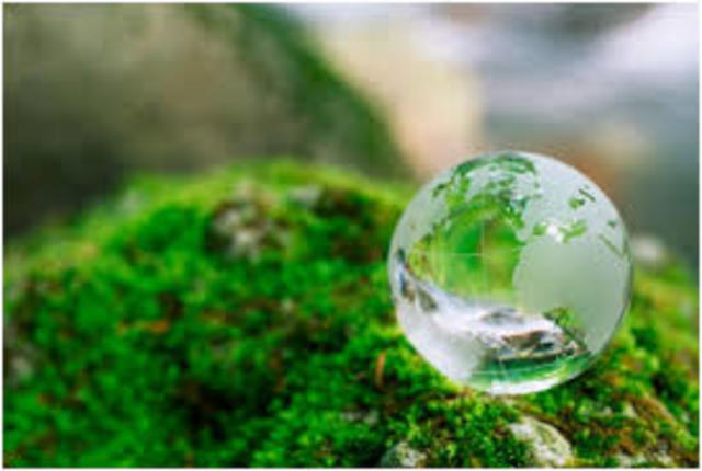 COLOMBIA CREA LA DIVISIÒN DE RECURSOS NATURAES RENOVABLES