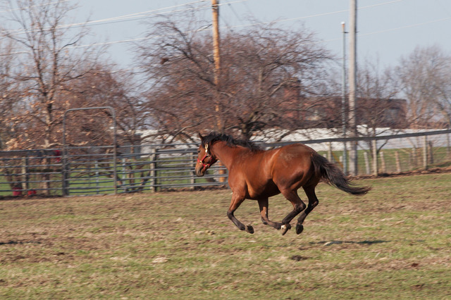 how the idea of film started