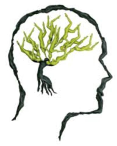 Incremento de la popularidad sobre el pensamiento ecológico.