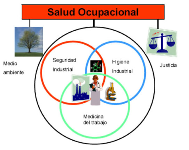 LA LEY DE SEGURIDAD E HIGIENE OCUPACIONAL