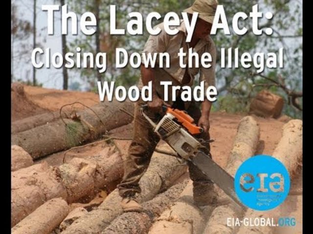 Lacey Act founded