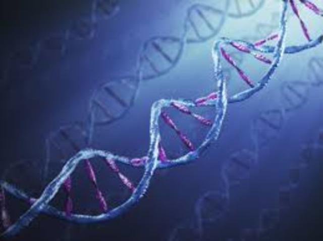 Bioethics: bridge to the future