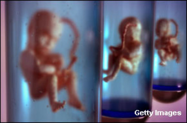 Institut for the Study of Human Reproducirán and Bioethics