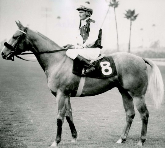 First Motion Picture