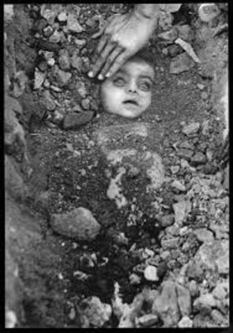 The Bhopal Disaster