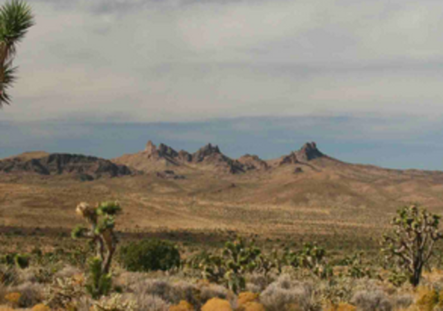 Desert Protection Act