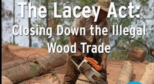 Lacey Act founded