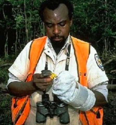 Fish Plus Wildlife Service Founded