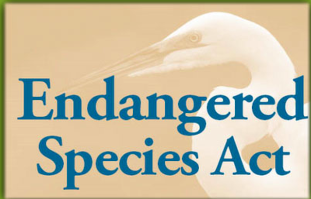 Endangered Species Act