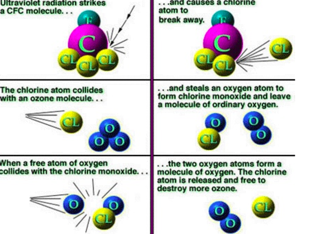 Roland and Molina (UCI) announce that CFC's are depleting the Ozone layer