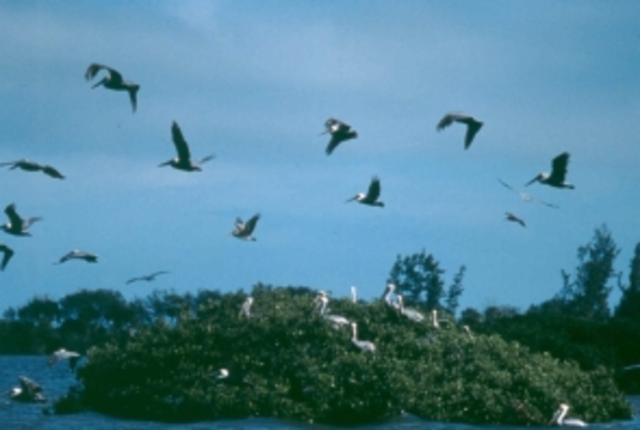 First National Wildlife Refuge established