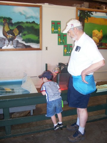 Trip to NY State Fair