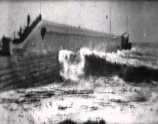 First natural history orientated film