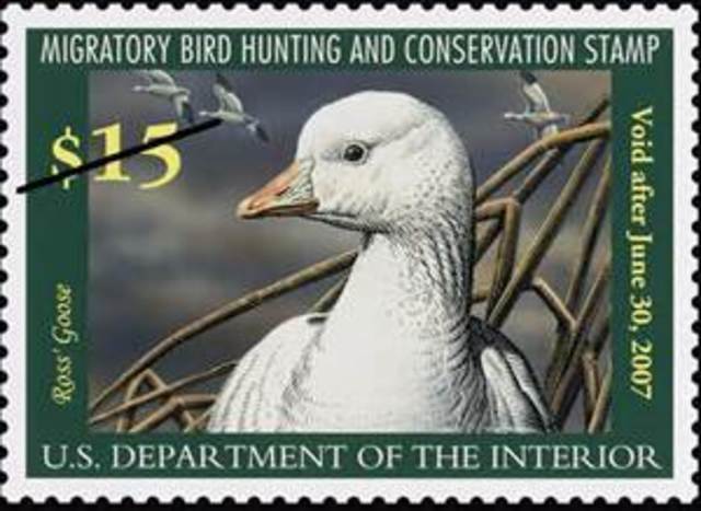 Migratory Bird Hunting Stamp Act