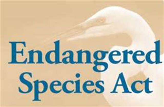 Endangered Species Act